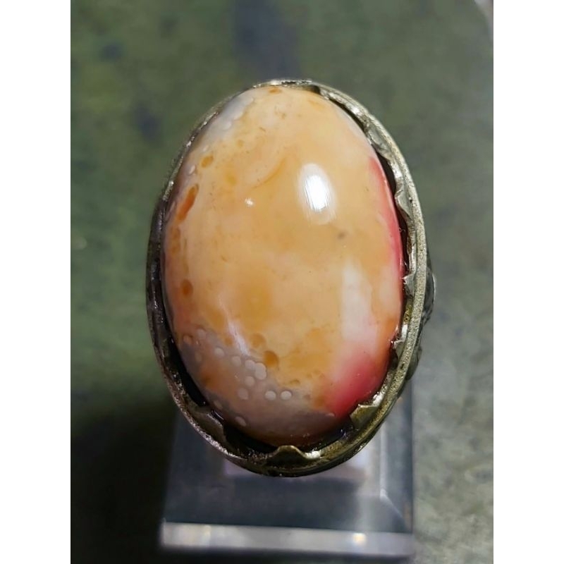 Rubah Merah Banyuwangi