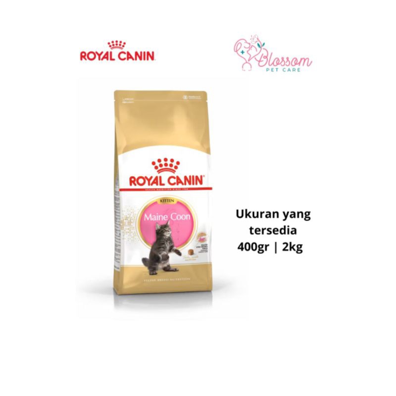 Royal Canin Kitten Maine Coon 400gr | Royal Canin Maine Coon Kitten 2kg