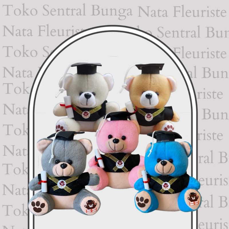 Boneka Beruang Teddy Bear - MINI WISUDA (13-14 cm)