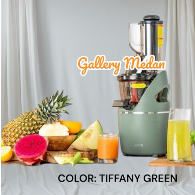 Ecohome Slow Juicer ESJ 999BM