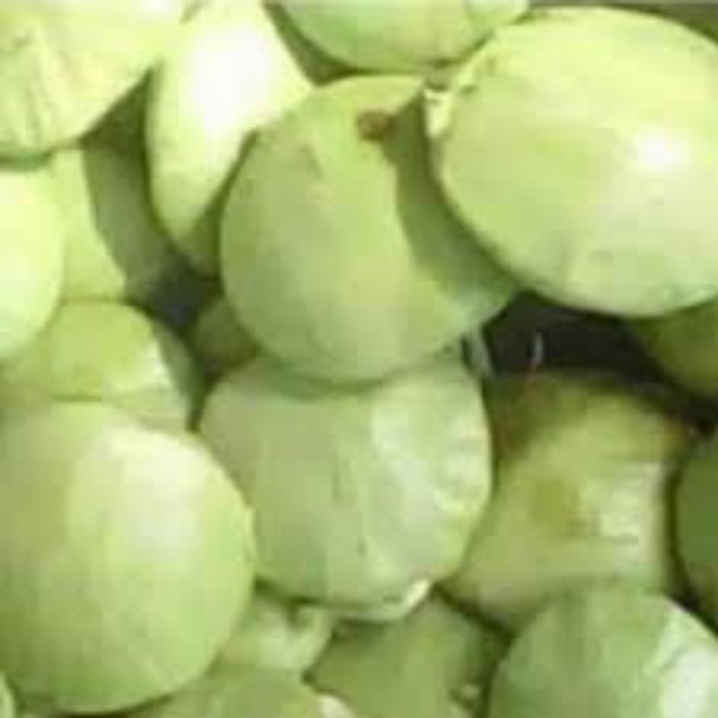 

Jengkol Muda Fresh Sudah Dikupas