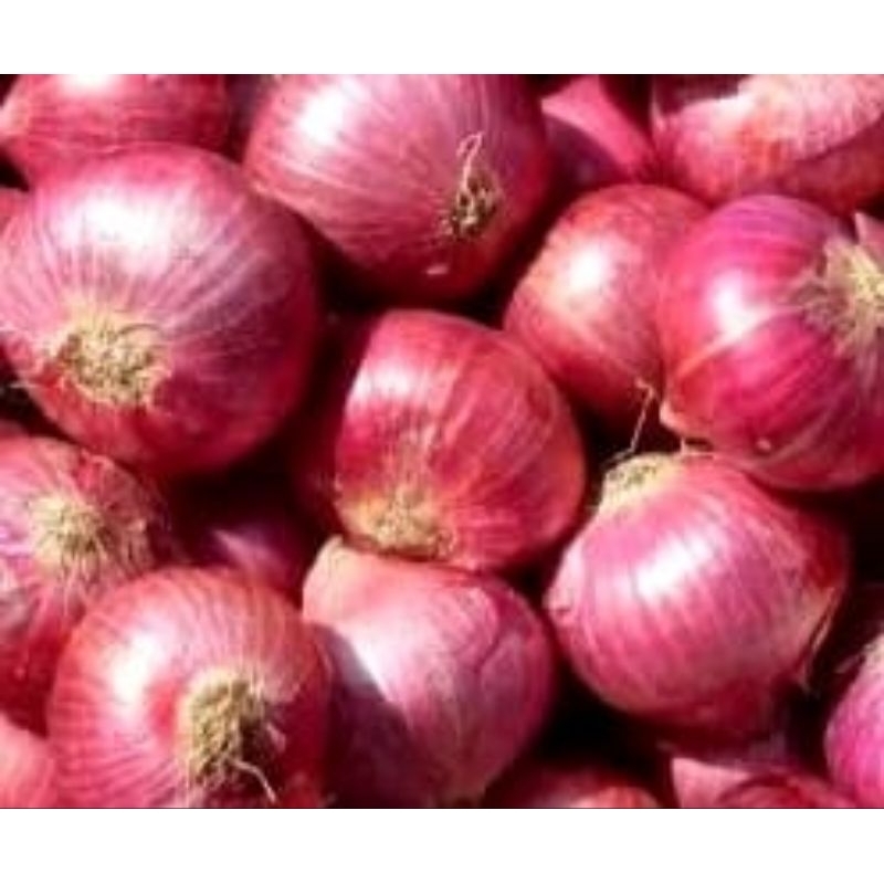 

Bawang Merah Brebes Super Premium