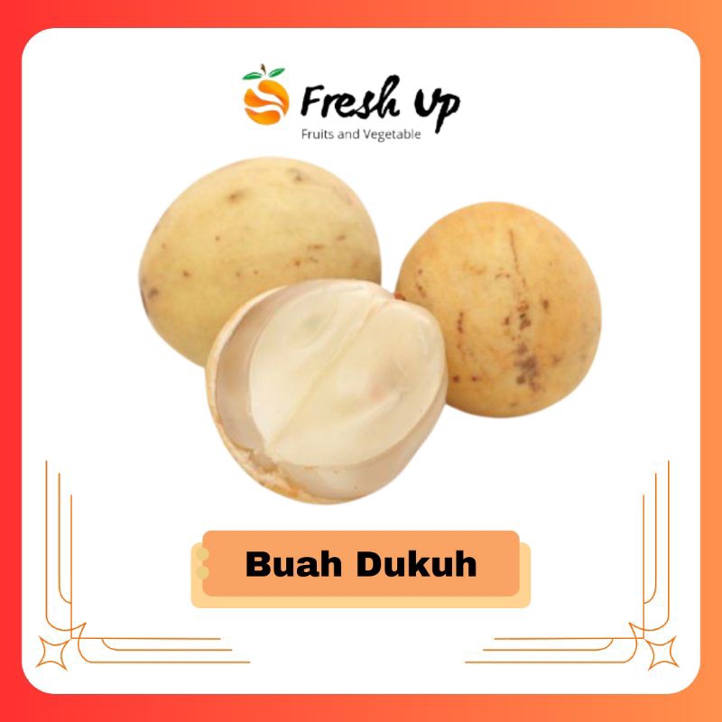 

Buah Dukuh Palembang | FreshUp