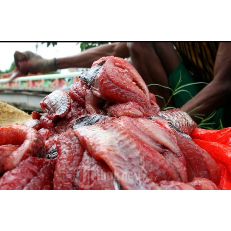 

DAGING FILET IKAN SAPU - SAPU