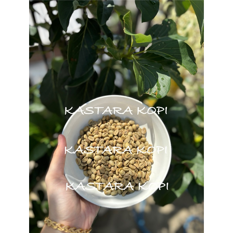 

GREEN BEAN ROBUSTA ASLI DAMPIT GRADE A KA 12