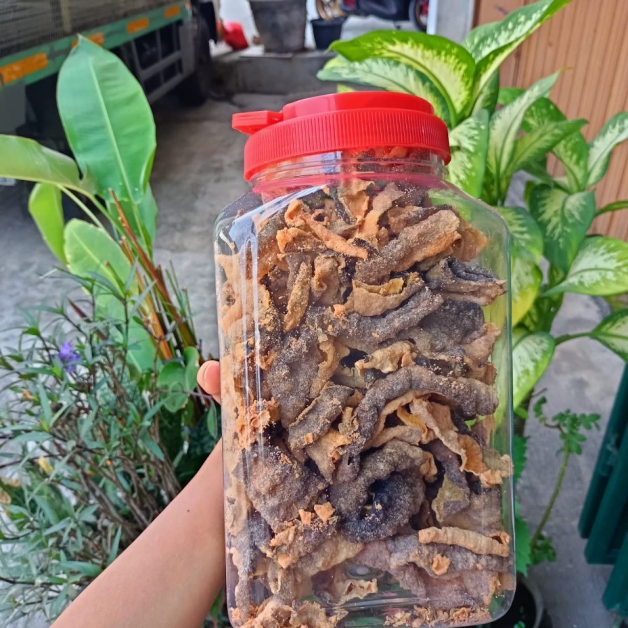 

Kerupuk Kulit Ikan Salmon Cemilan Enak Cemilan Crunchy Varian Rasa Bbq 500gr Kemasan Toples Double Jumbo