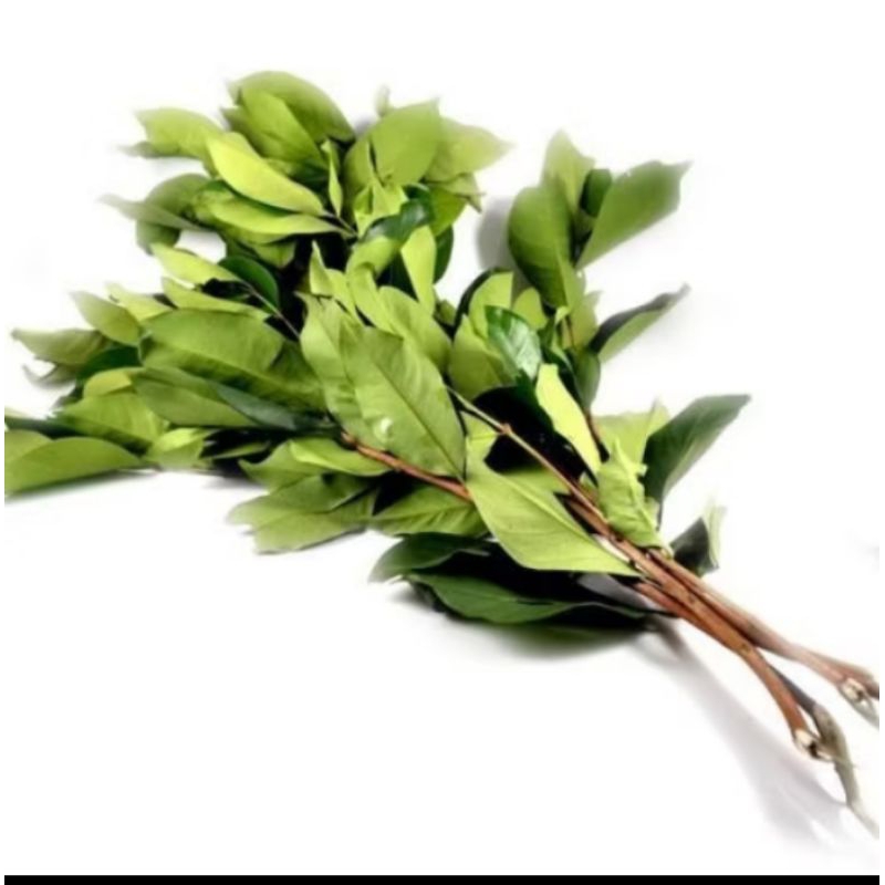 

Daun Salam 1 ikat
