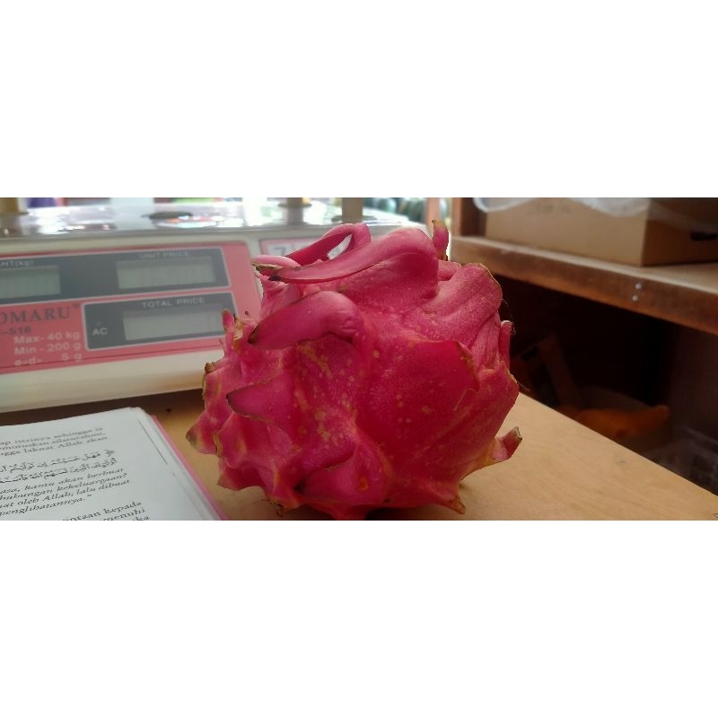 

Buah Naga