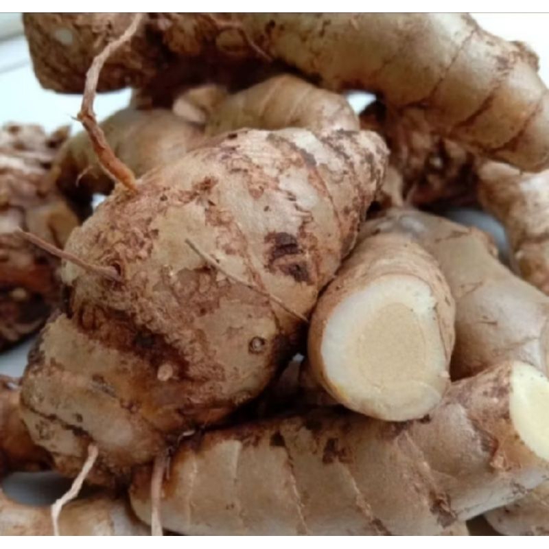 

empu kunyit putih/lampuyang fresh segar 1000 gram berkualitas