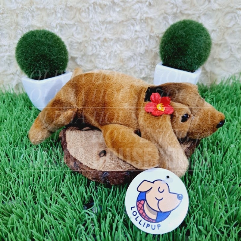 Boneka Anjing Tiduran Boneka Dog Mini Boneka Doggy Bunga Merah