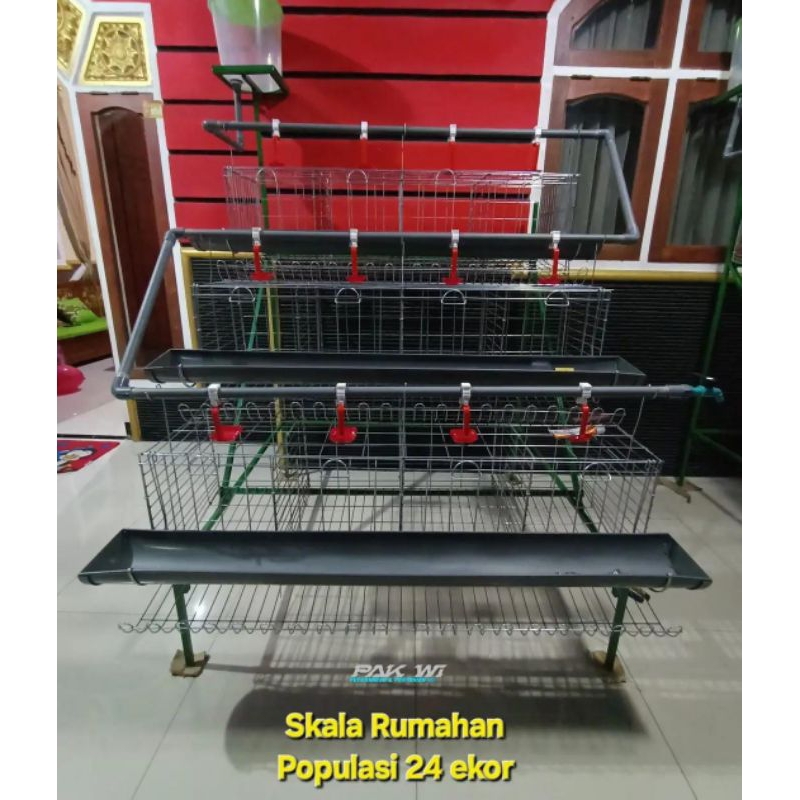paket kandang ayam galvanis untuk ternak skala rumahan 4pintu isi 8ekor ayam