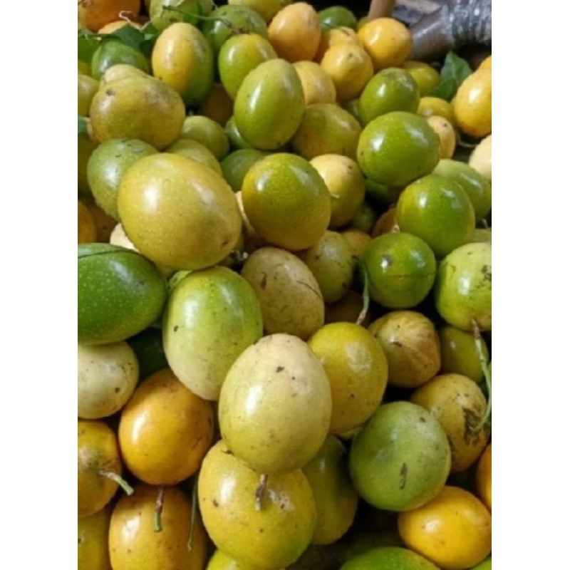 

buah dan bibit markisa matang segar