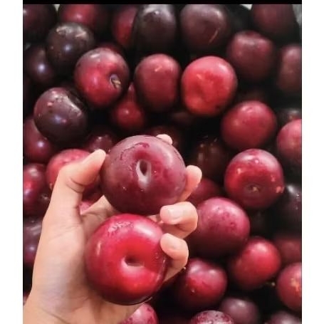 

buah plum manis enaak bermanfaat stok baru