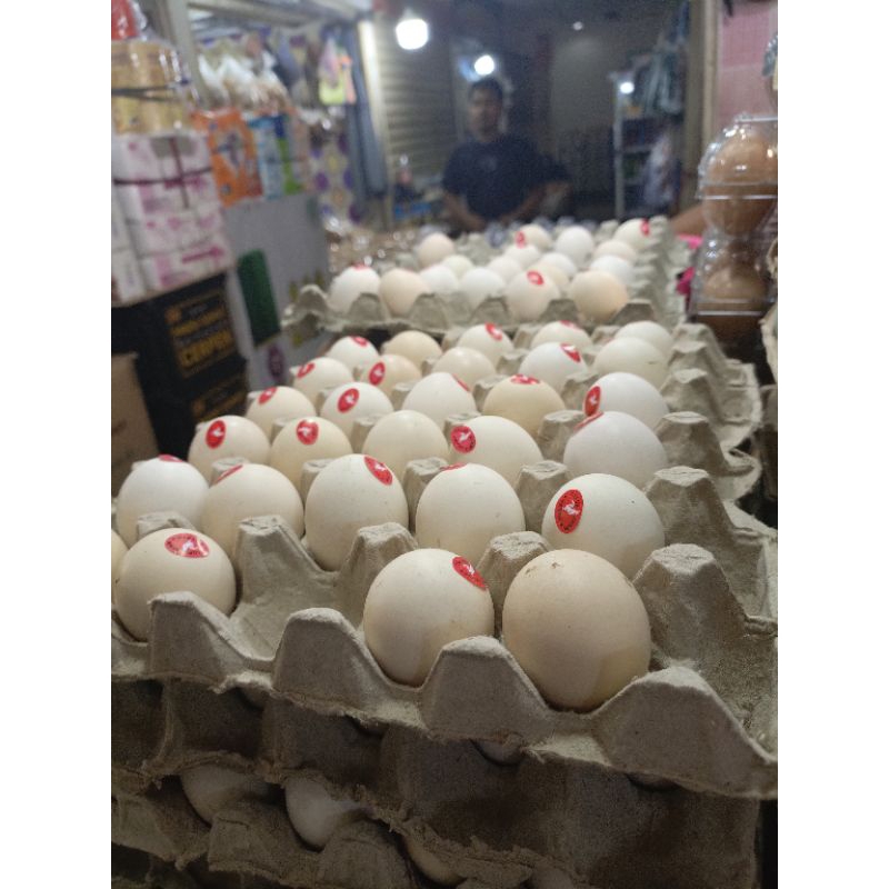 

telur omega kampung 1papan