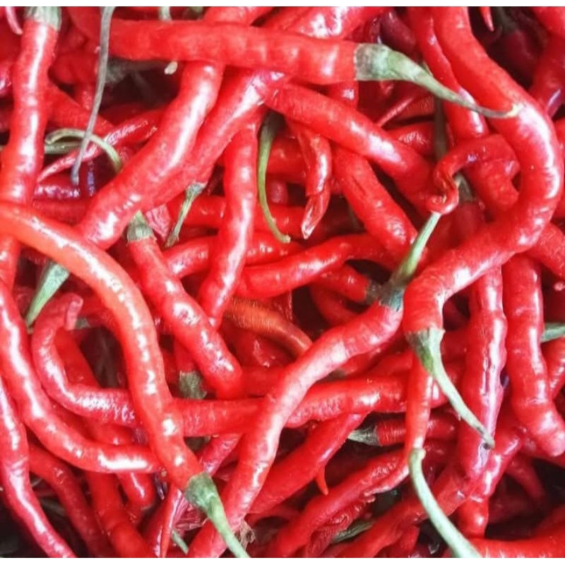 

Cabe Merah Keriting Fresh 1Kg