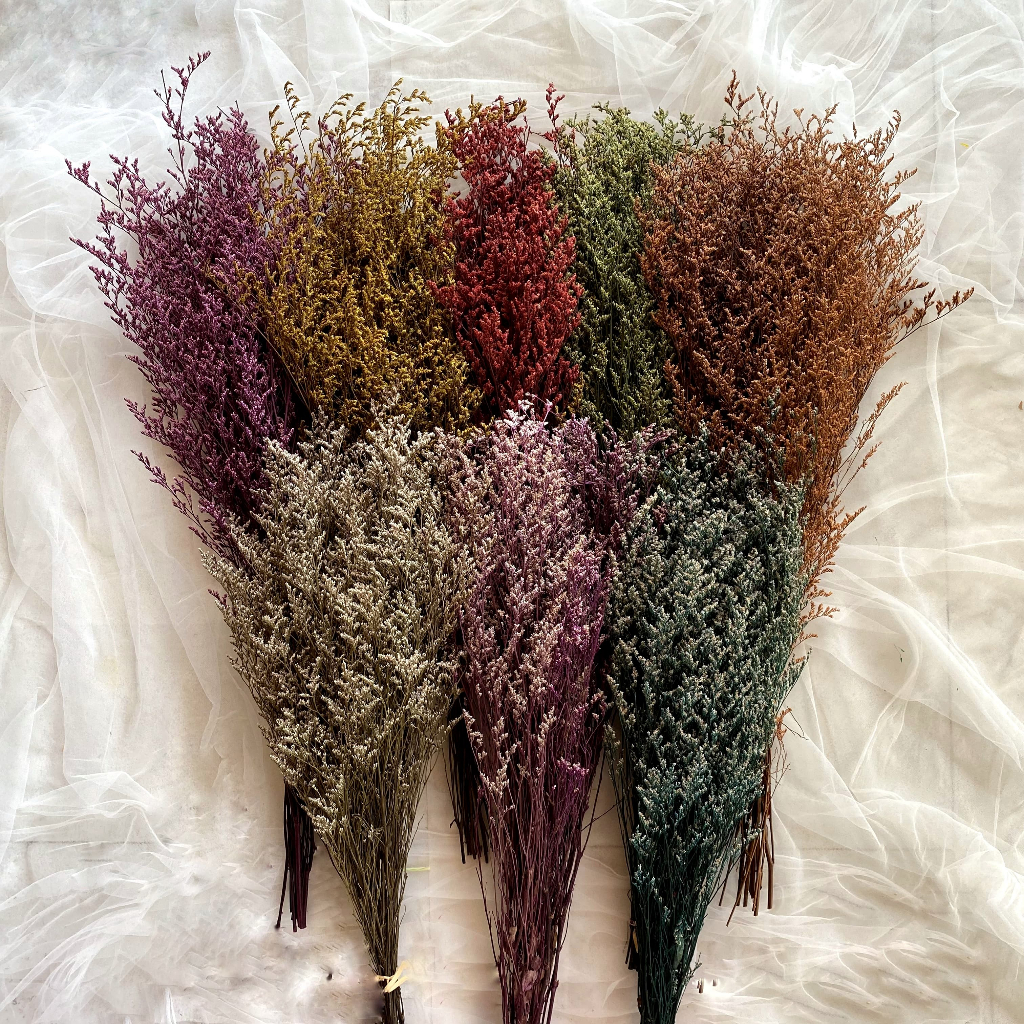 25 - 100gr GROSIR Bunga Kering CASPEA Dried Flower Limonium Lovergrass Rustic Import Tangkai Panjang