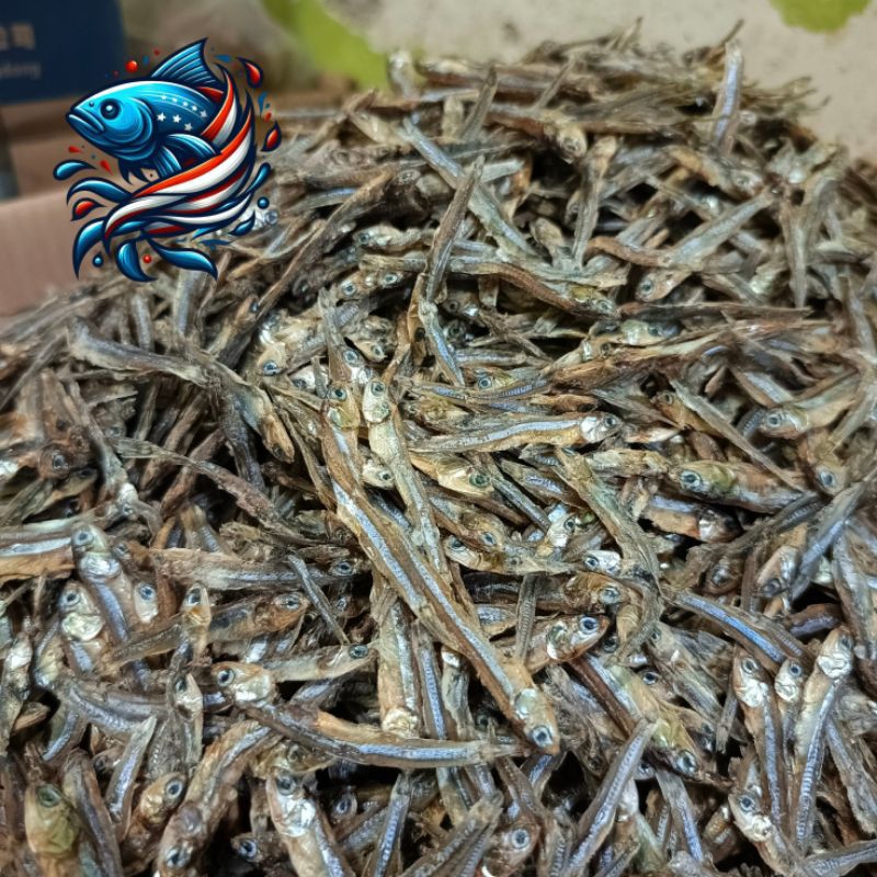 

Teri tawar hitam | ikan teri tawar