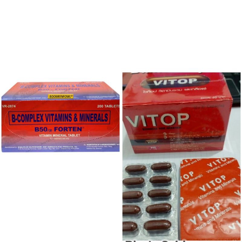 VITOP PLUS B50 FORTEN B COMPLEX sepaket vitamin ayam laga obat stamina ayam