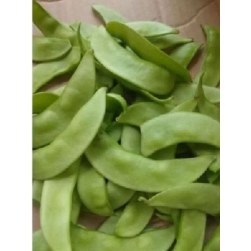 

kacang koro/kacang kratok 100 gram