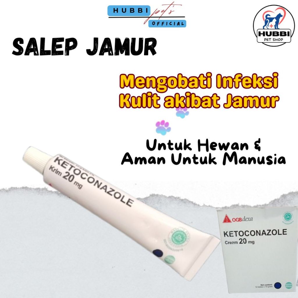 Obat Salep Jamur Kucing Ampuh Salep Luka Jamur Scabies Kucing Ketoconazole