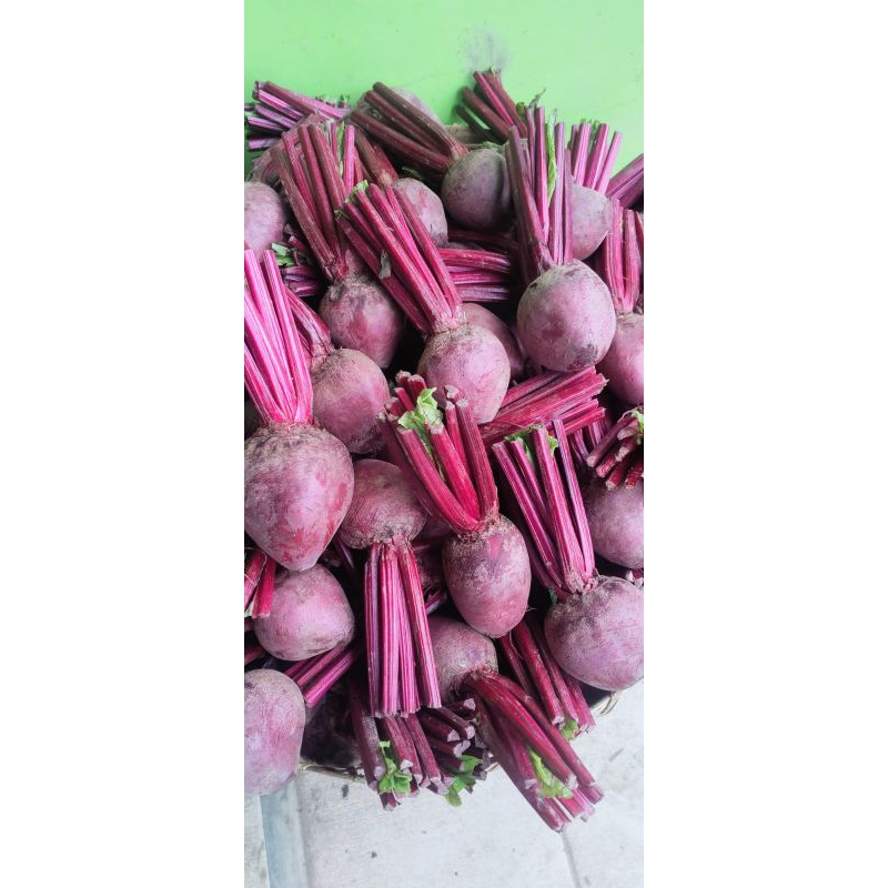 

buah bit / beet root 1kg fresh