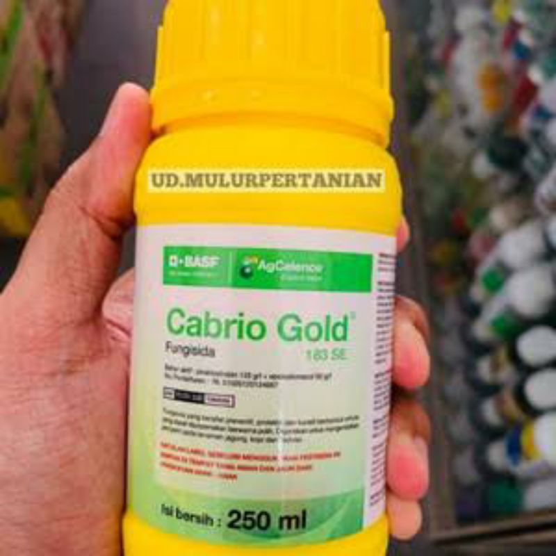 cabrio gold 250ml