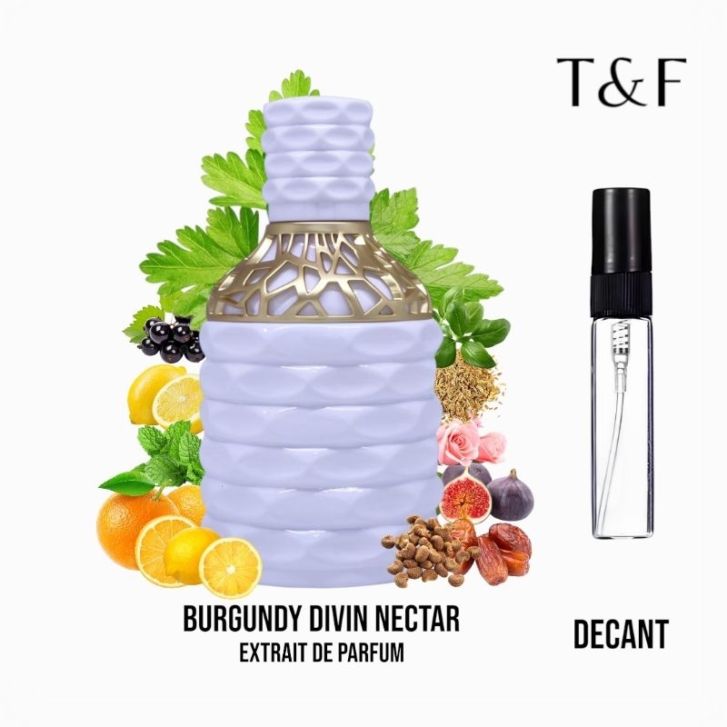 Parfum Decant Burgundy Divin Nectar XDP for Men