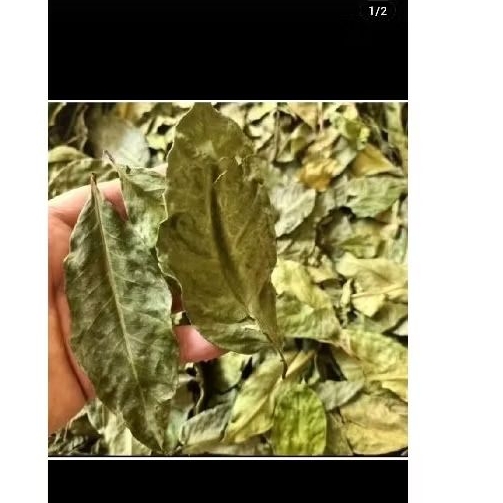 

daun salam kering 350 gram kualitas bagus