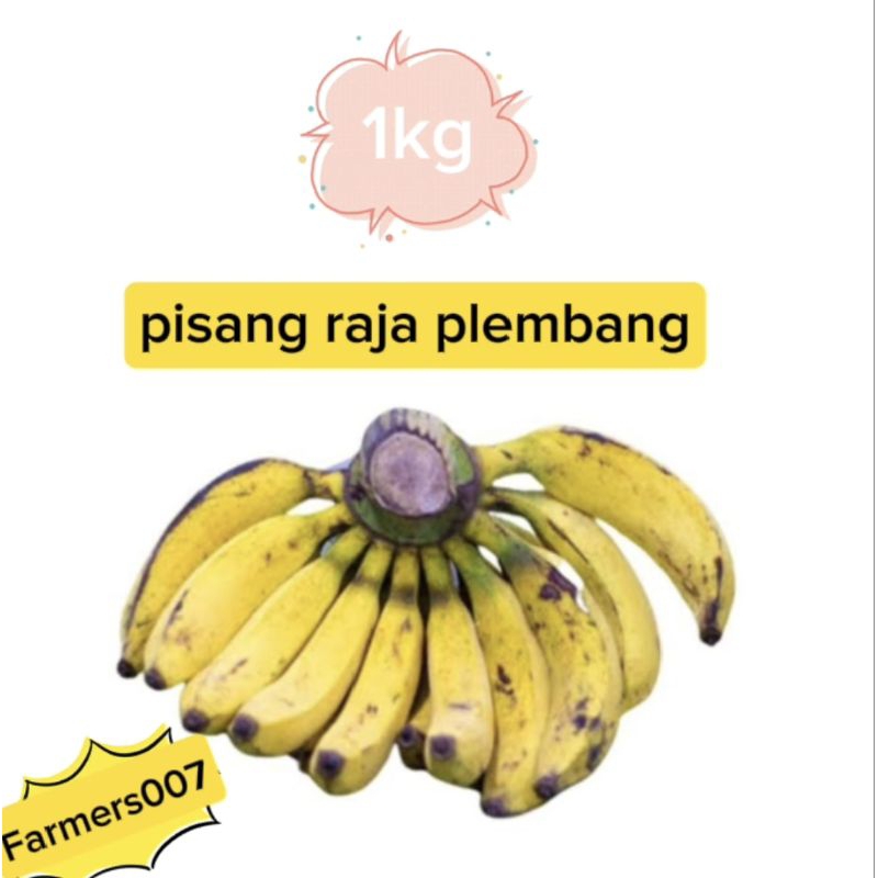 PISANG RAJA PLEMBANG DKIRIM MENTAH
