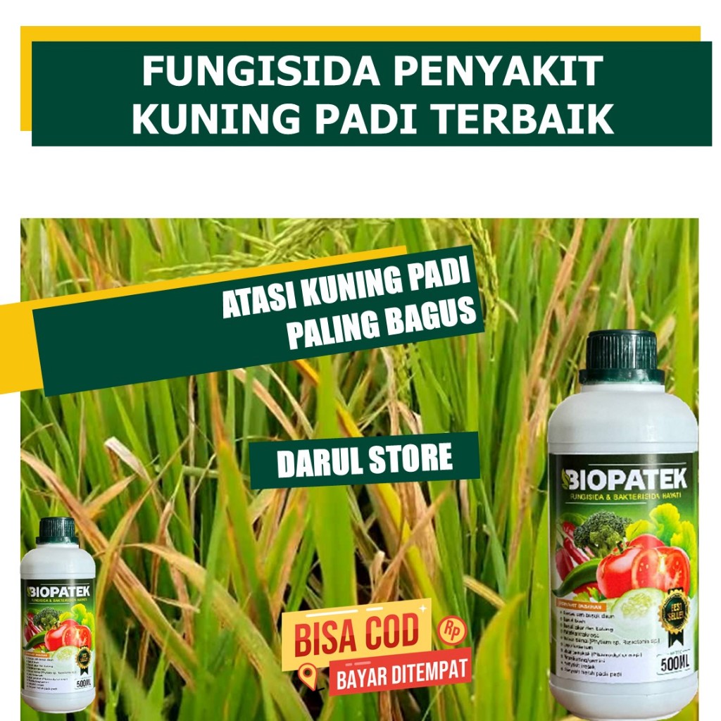 COD TERLARIS Obat Semprot Hama Kuning Kerdil Daun Padi Terampuh BIOPATEK Terbaru Obat Hama Kuning Ke