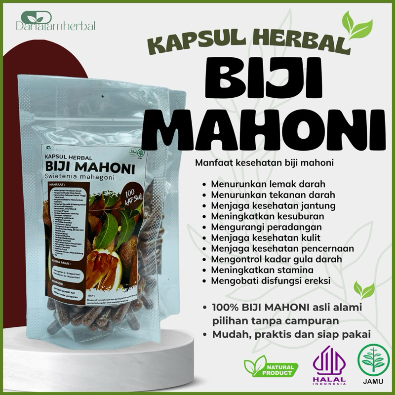 Kapsul Herbal BIJI MAHONI isi 100 kapsul | Kapsul Sejuta manfaat asli 100% Biji Mahoni Alami