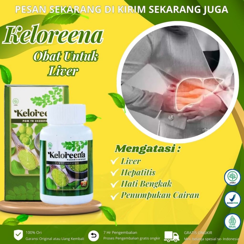 Keloreena - Obat Liver, Perut Bengkak, Hepatitis, Liver Bengkak, Radang Hati, Infeksi Hati