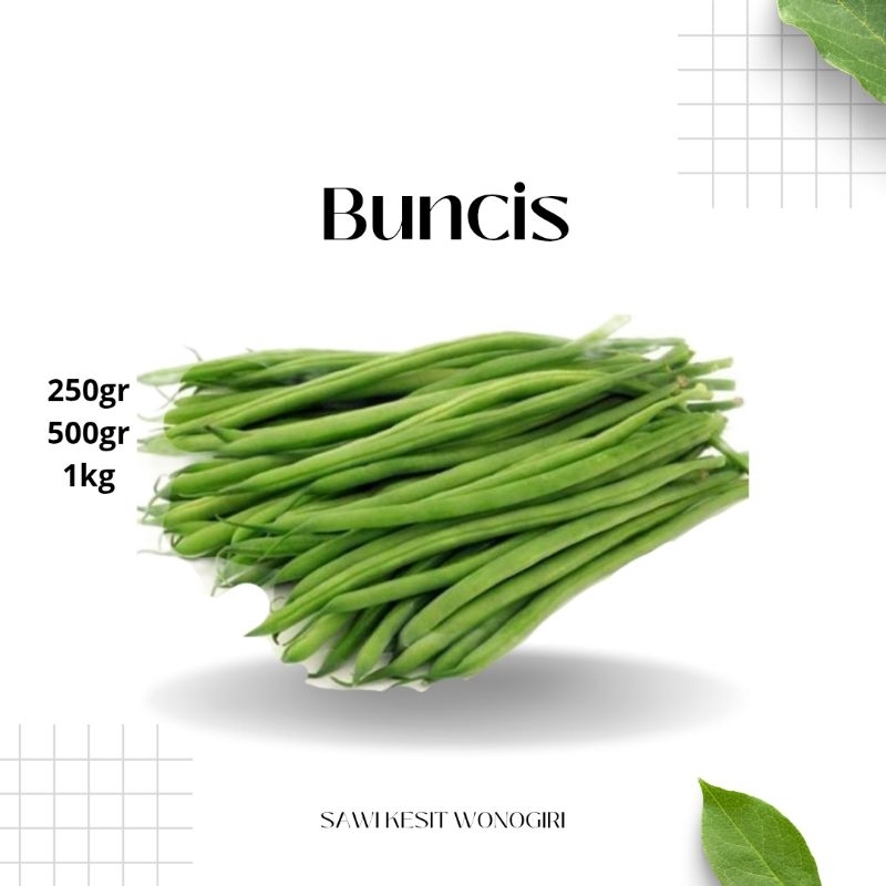 

buncis fresh