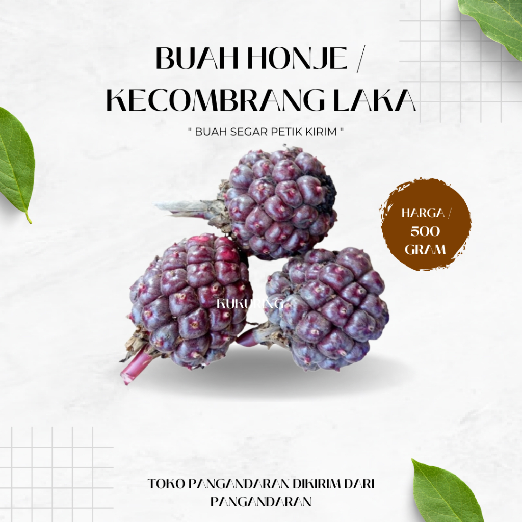 

KUKURING BUAH HONJE MERAH 500GR BUAH KECOMBRANG MERAH SEGAR [ FRESH PRODUK ]