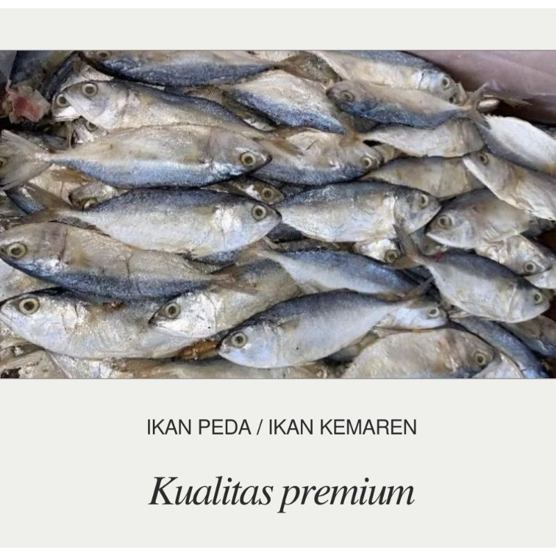 

ikan peda // ikan kemaren // ikan kembung //banyar/ikan asin premium