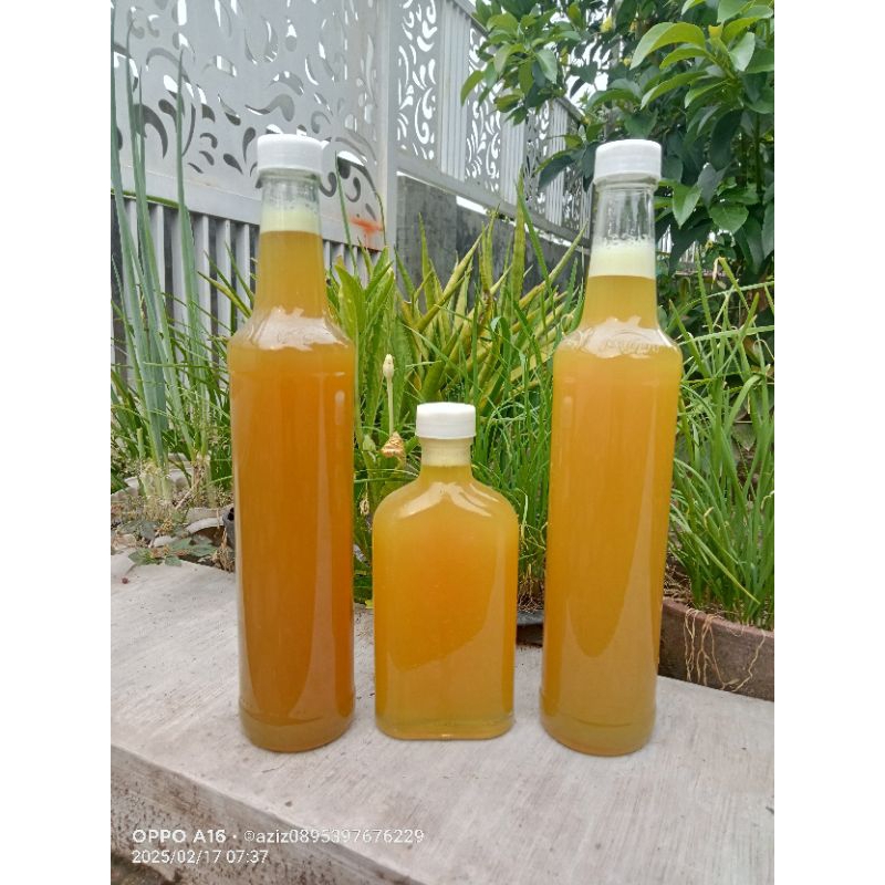 

madu bunga Kaliandra