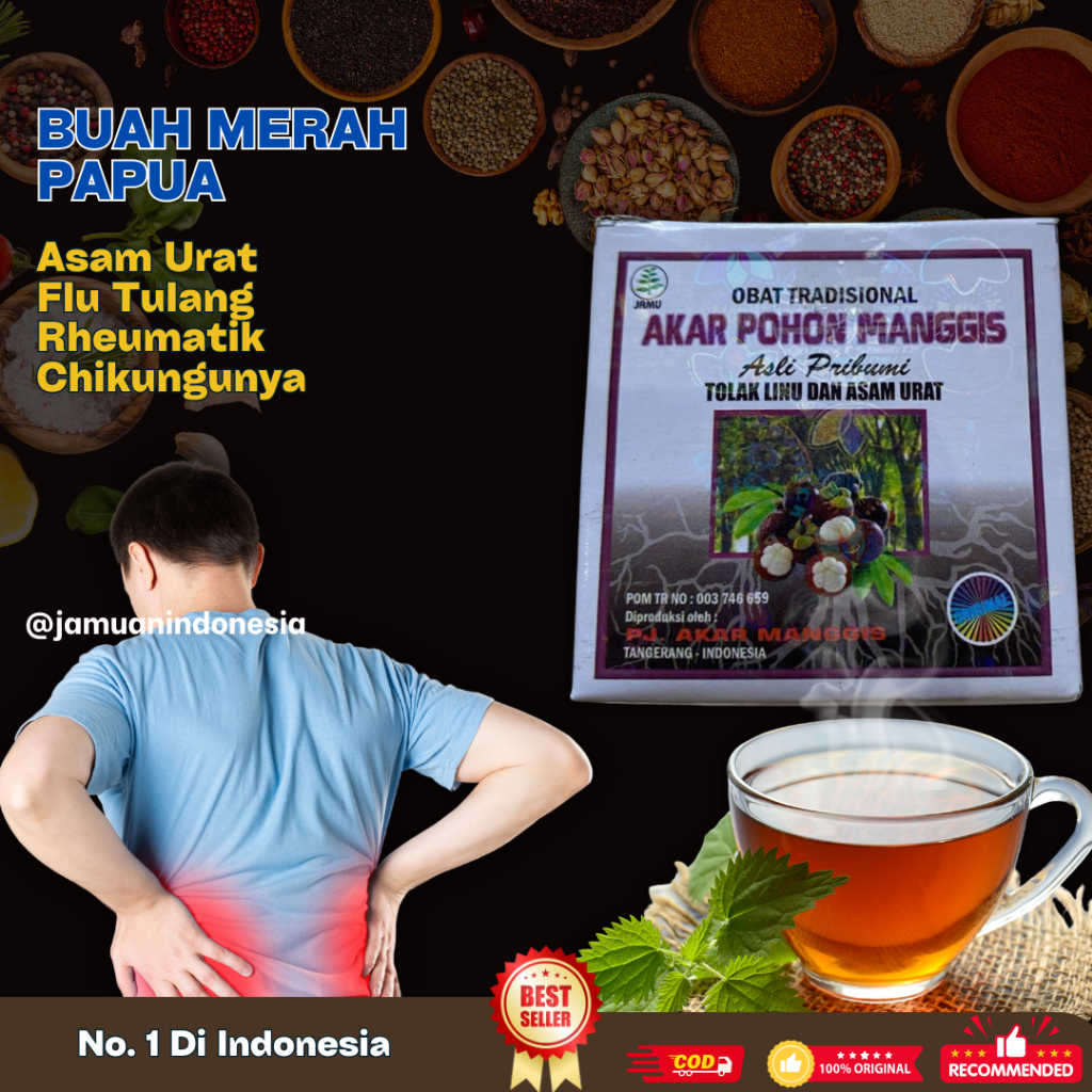 

Akar Pohon Manggis 20 Sachet Original