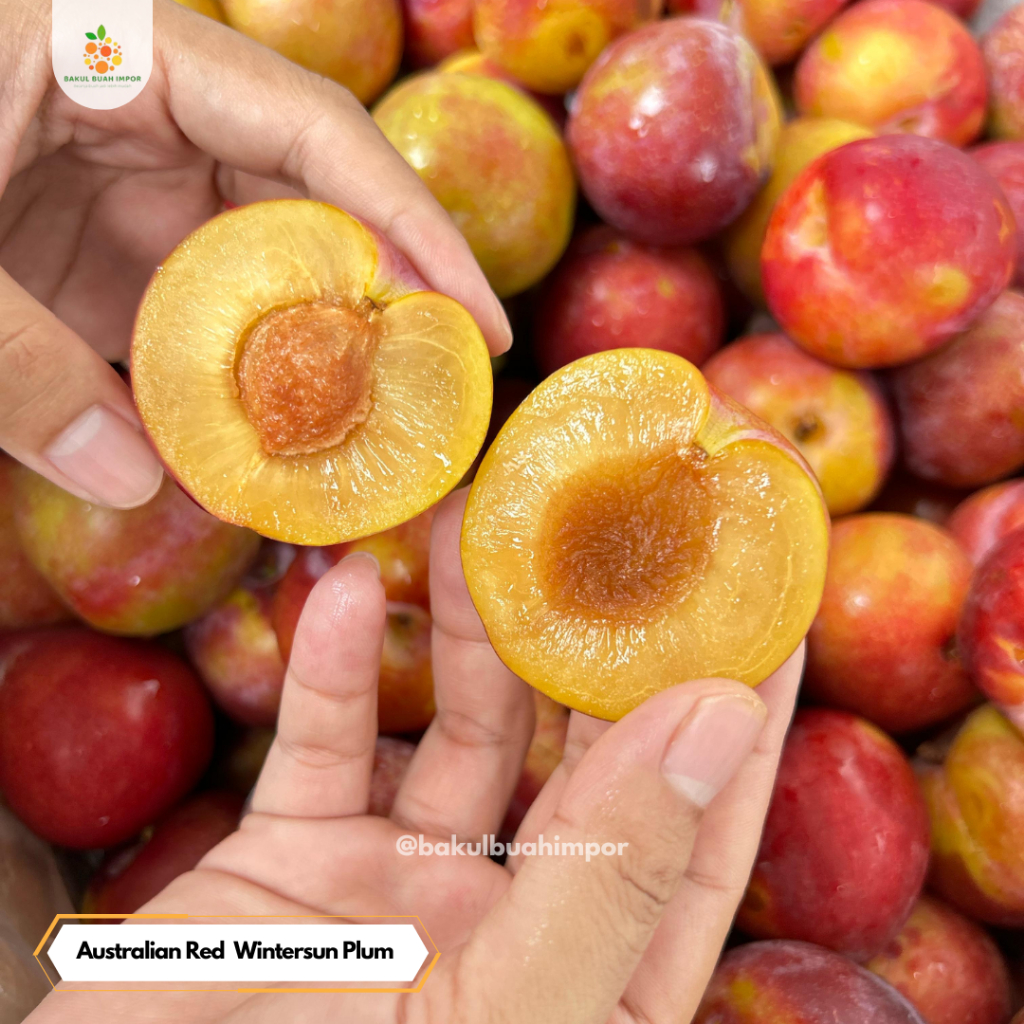 

Australian Red Wintersun Plum [ @250gram ]