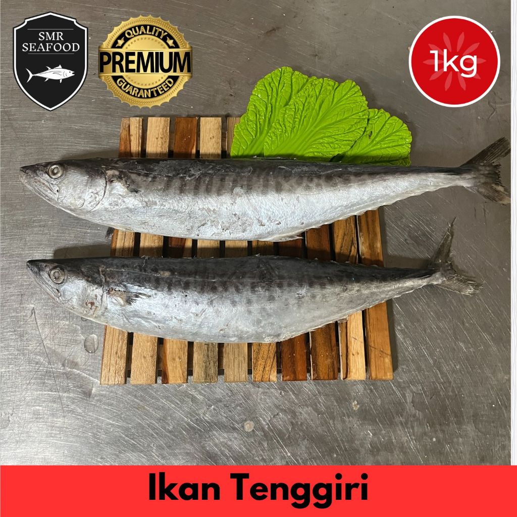 

Ikan Tenggiri / Tenggiri Batang | Frozen Beku Utuh 1KG / Per Ekor