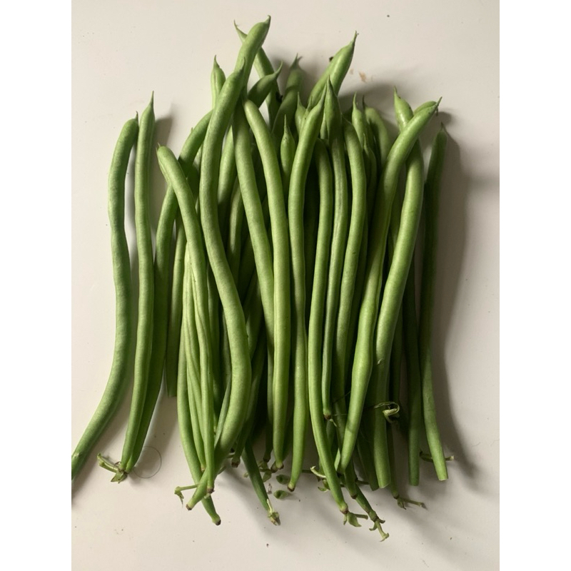 

Buncis/Green Fresh (500Gram/1kg)