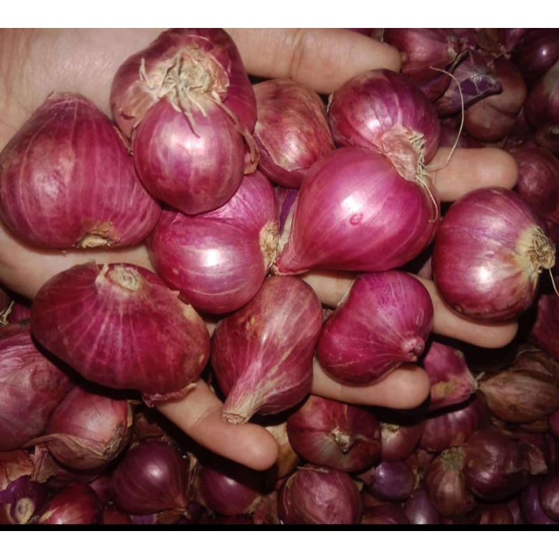 

Bawang merah Nganjuk 1kg