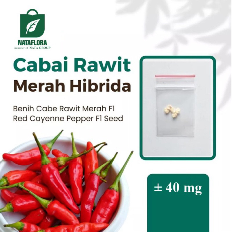 Benih Seribuan - Super Benih Cabai Merah Besar Hibrida