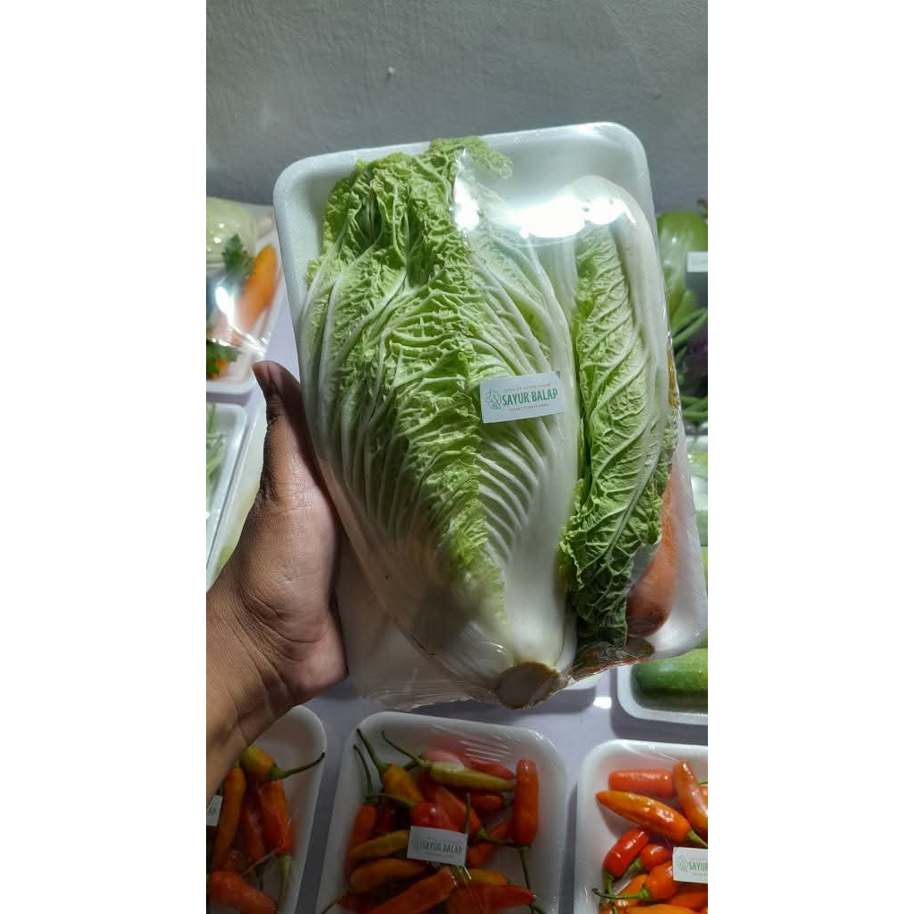 

Sayur Serba 5000 Sayur Sawi Fresh