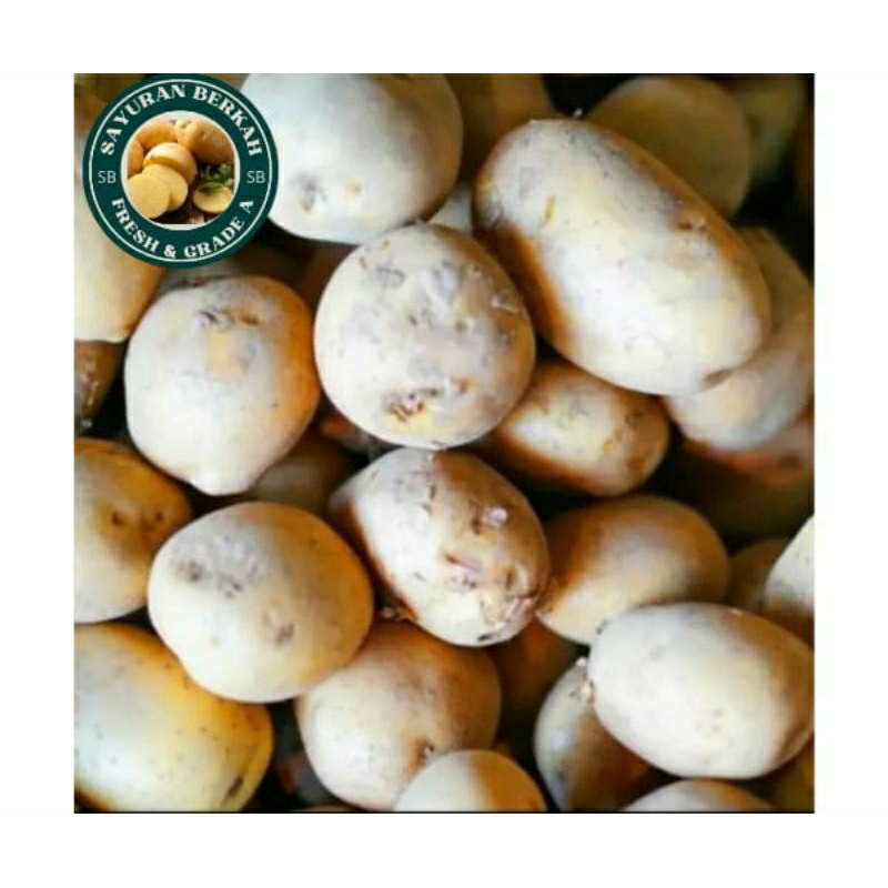 

Terlaris No.1 - 250Gr Kentang Dieng Super Grade Kentang Bahan dapur sayuran serba jadi makanan sayuran