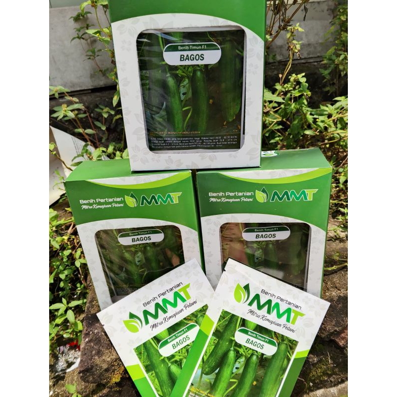 BENIH TIMUN F1 BAGOS