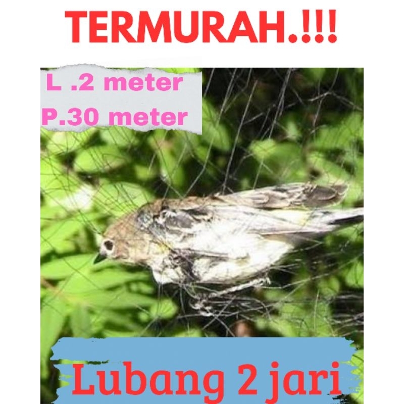 Jaring burung kecil 0.12 panjang 30 meter lebar +2 meter jaring burung lubang 2 jari jaring burung e