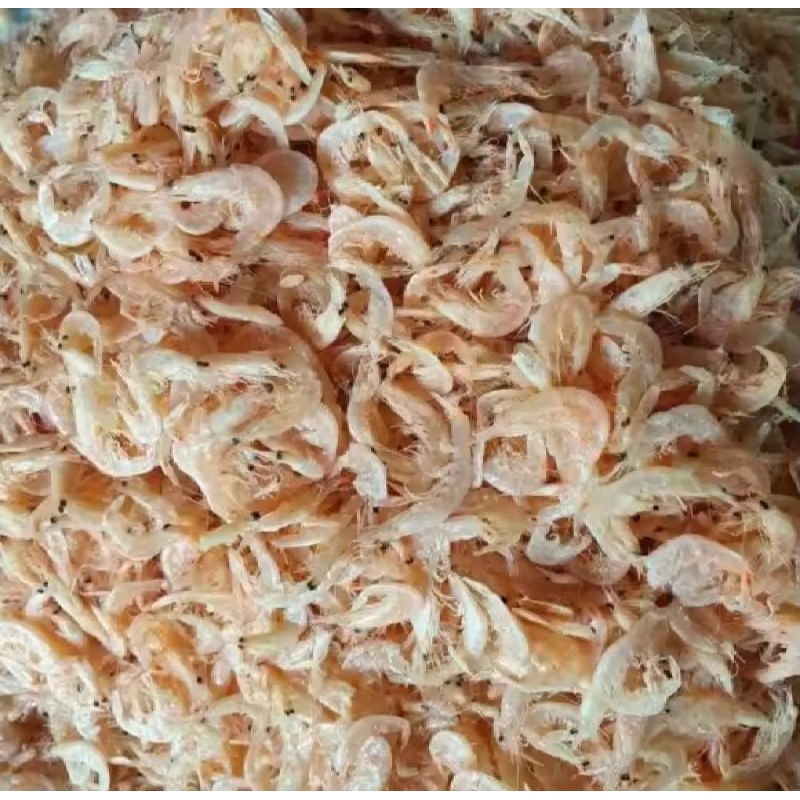 

rebon asin/udang kecil/gereh rebon/ikan asin segar fresh 500 gram