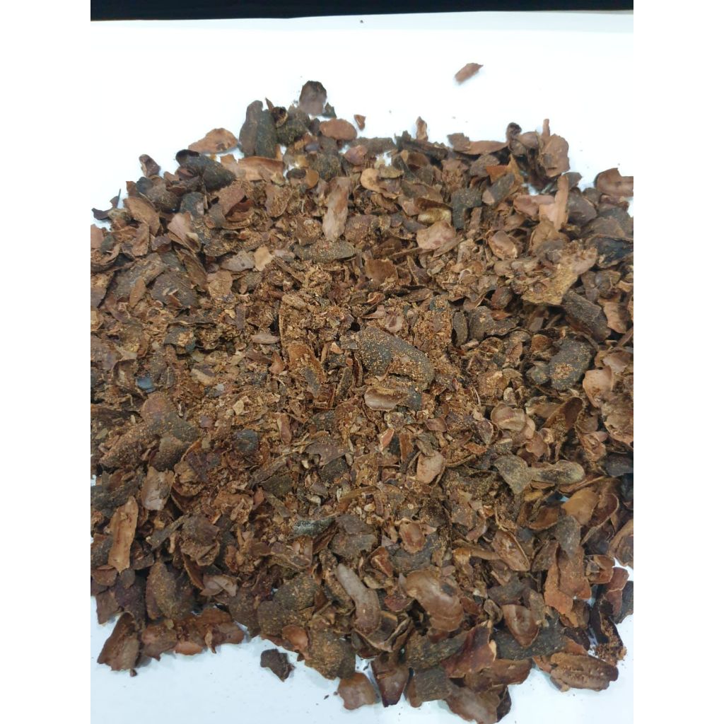 

kulit biji coklat