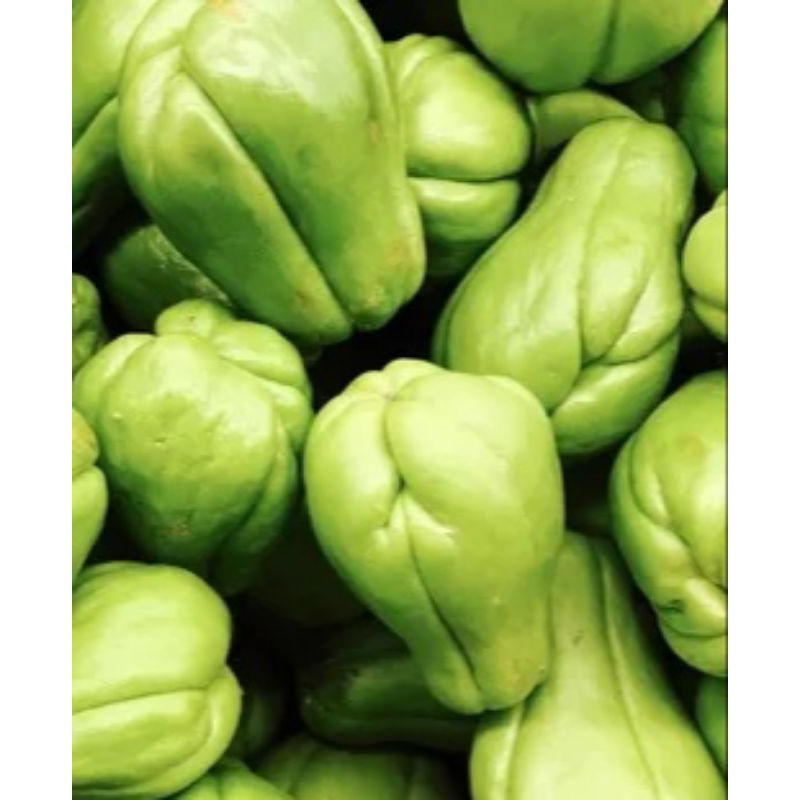 

labu siam harga promo harga per kg