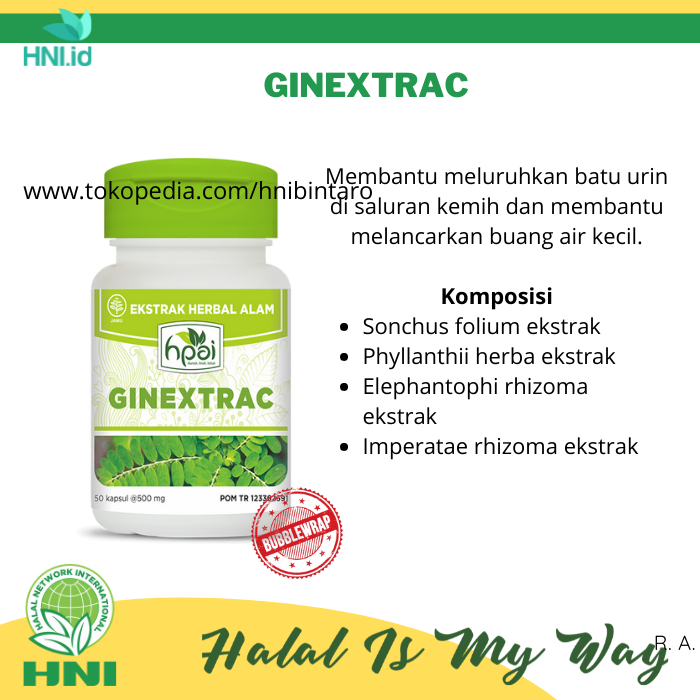 GINEXTRAC HNI HPAI | Obat Herbal Batu Ginjal